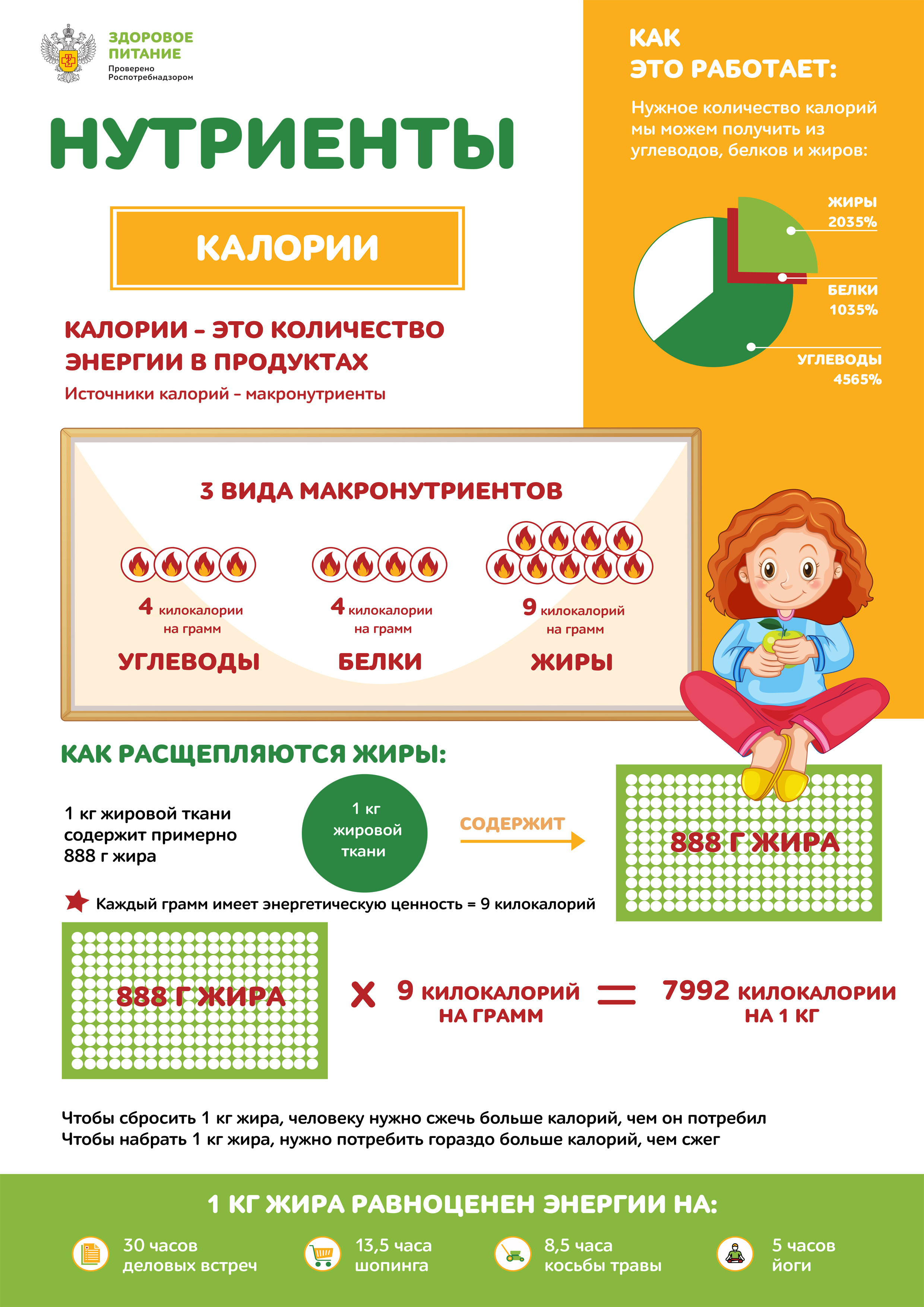 Питание_04.jpg
